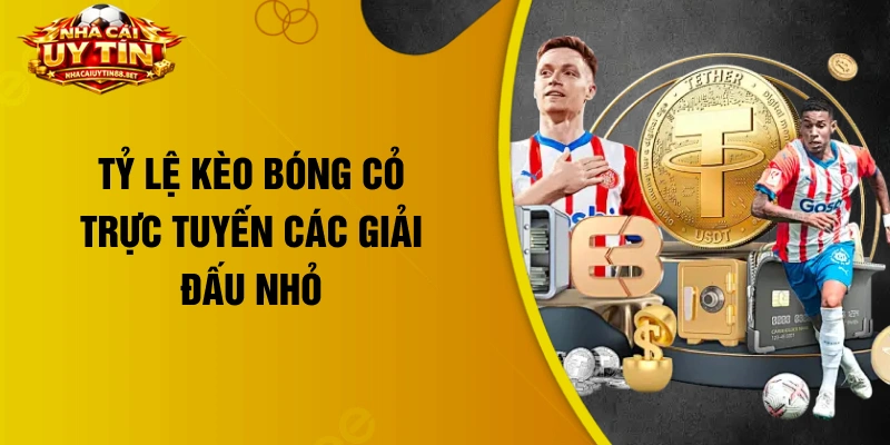 Tỷ lệ kèo bóng cỏ trực tuyến các giải đấu nhỏ